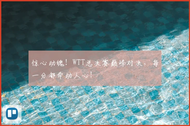 惊心动魄！WTT总决赛巅峰对决，每一分都牵动人心！